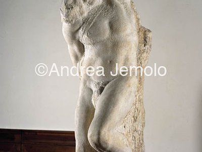 Galleria dell'Accademia Young Prigione - central | Andrea Jemolo