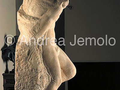 Galleria dell'Accademia Young Prigione - right side | Andrea Jemolo