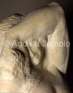 Galleria dell'Accademia Prigione giovane - volto | Andrea Jemolo