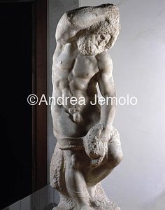 Galleria dell'Accademia Prigione con la barba - centrale | Andrea Jemolo