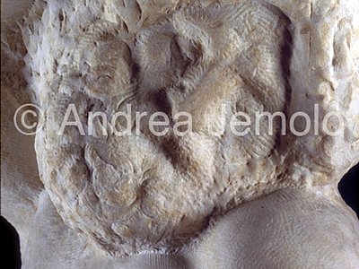 Galleria dell'Accademia Prigione with the beard – face | Andrea Jemolo