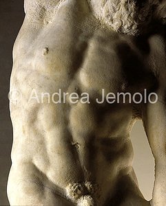 Galleria dell'Accademia Prigione con la barba - torso | Andrea Jemolo