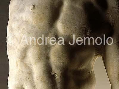 Galleria dell'Accademia Prigione with the beard - torso | Andrea Jemolo