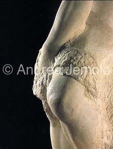 Galleria dell'Accademia Prigione con la barba - ginocchio | Andrea Jemolo