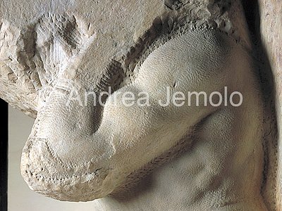 Galleria dell'Accademia Prigione told Atlantas - arm | Andrea Jemolo