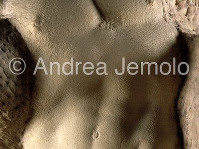 Galleria dell'Accademia Prigione that wakes up - torso | Andrea Jemolo