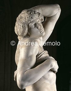 Louvre Museum Dying Prigione - particular right side | Andrea Jemolo