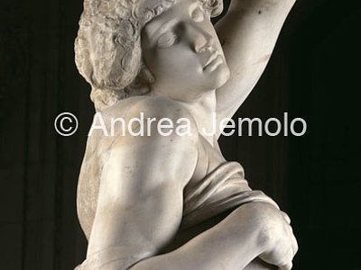 Louvre Museum Dying Prigione - particular right side | Andrea Jemolo