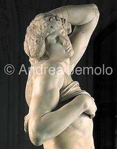 Louvre Museum Dying Prigione - particular right side | Andrea Jemolo