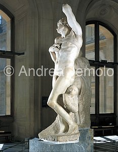 Louvre Museum Dying Prigione - left side | Andrea Jemolo
