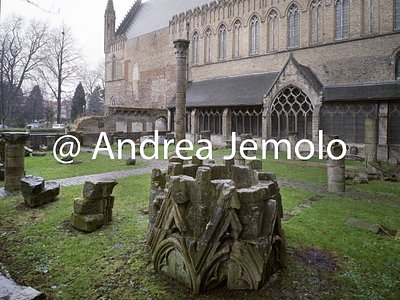 Sint-Maartenskathedraal Cloister | Andrea Jemolo