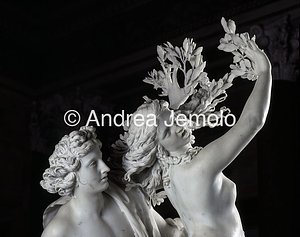 Borghese gallery Apollo and Daphne - Detail  | Andrea Jemolo