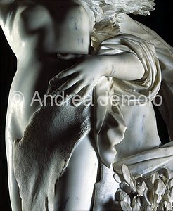 Borghese gallery Apollo and Daphne - Detail  | Andrea Jemolo
