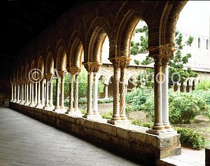 Cathedral Cloister | Andrea Jemolo