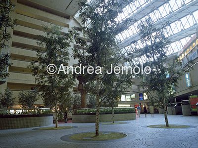 Hotel International Atrium | Andrea Jemolo