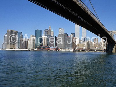 Lower Manhattan Da Brooklyn | Andrea Jemolo
