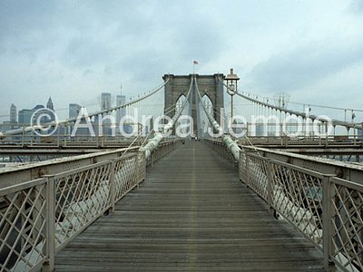 Brooklyn Bridge  | Andrea Jemolo