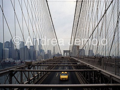 Brooklyn Bridge  | Andrea Jemolo