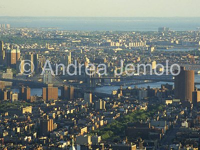 Downtown dall'Empire State Building  | Andrea Jemolo
