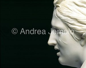 Borghese gallery Rape of Proserpina - Detail | Andrea Jemolo