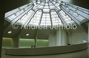 Guggenheim Museum Skylight | Andrea Jemolo
