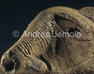Jos Museum Head of elephant - Nok | Andrea Jemolo