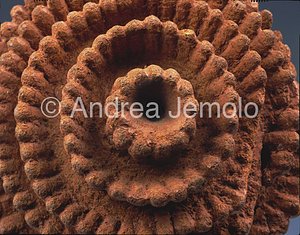 Ife National Museum Head crowned of queen - Queen - terracotta- Ife | Andrea Jemolo