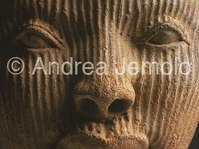 Nigerian National Museum Testa - Profilo - terracotta - Owo | Andrea Jemolo