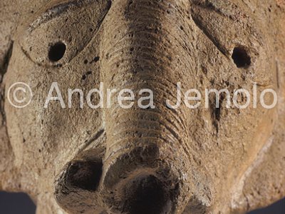 Jos Museum Testa di elefante - Frontale - Nok | Andrea Jemolo