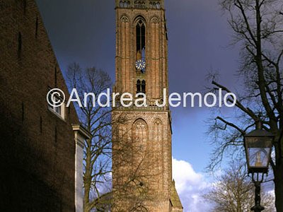 Amerogen | Andrea Jemolo