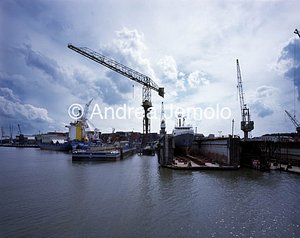 Harbor  | Andrea Jemolo