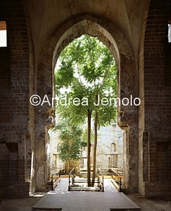 Cuba Palace  | Andrea Jemolo