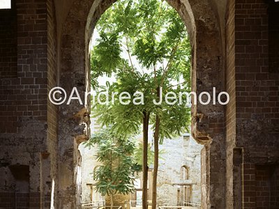 Cuba Palace  | Andrea Jemolo