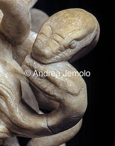 Capitoline museums Medusa - Snakes | Andrea Jemolo