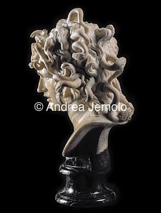 Capitoline museums Medusa - left Profile | Andrea Jemolo