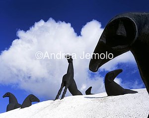 The salt's Mountain and the Horses  | Andrea Jemolo