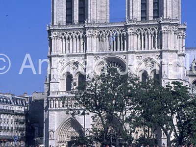 Notre Dame Façade | Andrea Jemolo