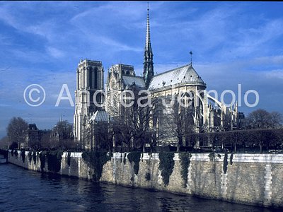 Notre Dame General view | Andrea Jemolo