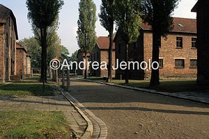 Concentration camp  | Andrea Jemolo
