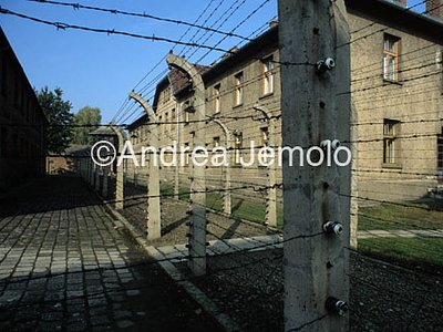 Campo di concentramento e di sterminio  | Andrea Jemolo