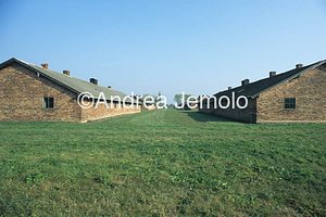 Concentration camp  | Andrea Jemolo