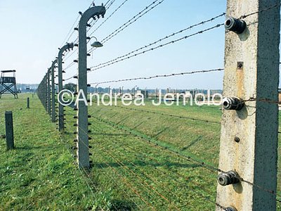 Concentration camp  | Andrea Jemolo