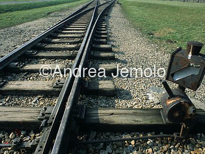 Concentration camp  | Andrea Jemolo
