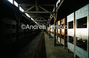 Concentration camp  | Andrea Jemolo