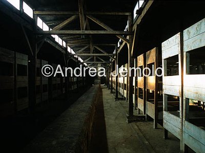 Concentration camp  | Andrea Jemolo