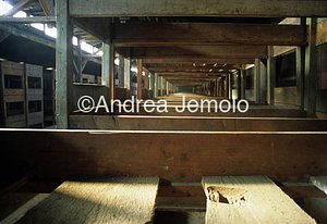 Concentration camp  | Andrea Jemolo