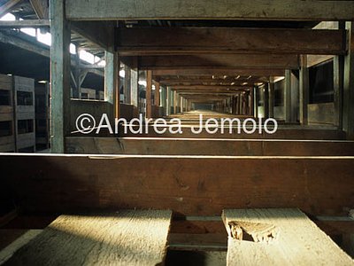 Concentration camp  | Andrea Jemolo