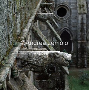 Cathedral Dripstone | Andrea Jemolo