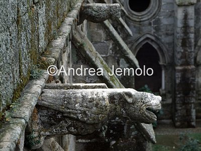 Cathedral Dripstone | Andrea Jemolo