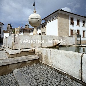 Fountain renaissance  | Andrea Jemolo
